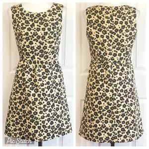 Banana Republic Cream Leopard Animal Print Fit & Flare Mini Dress 6